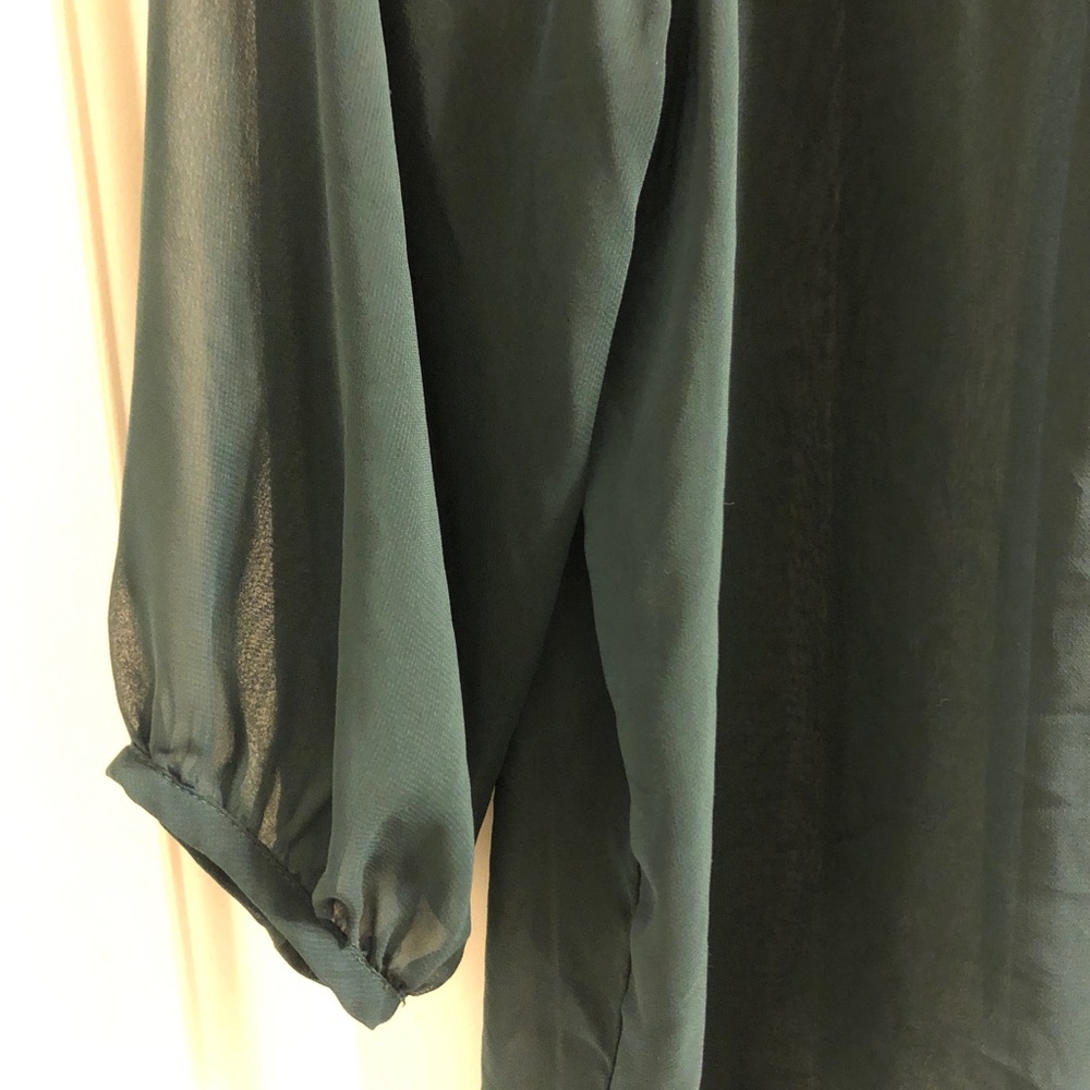 H&M Sheer Buttonup Top - Picture 3 of 4